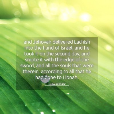 Picture 05 - Joshua 10:32 ASV - and Jehovah delivered Lachish into the hand of - Bible Verse Picture