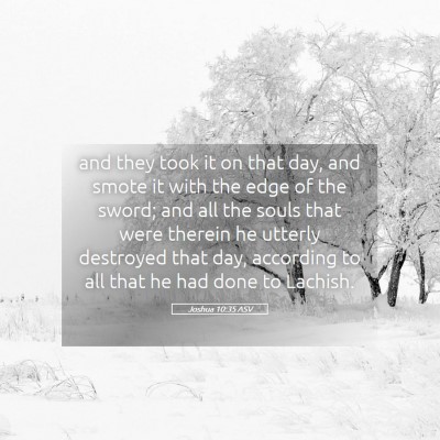 Picture 05 - Joshua 10:35 ASV - and they took it on that day, and smote it with - Bible Verse Picture