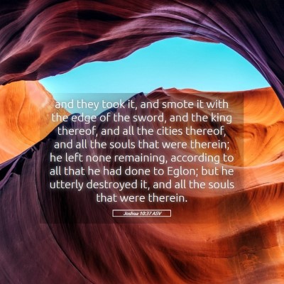 Picture 05 - Joshua 10:37 ASV - and they took it, and smote it with the edge of - Bible Verse Picture