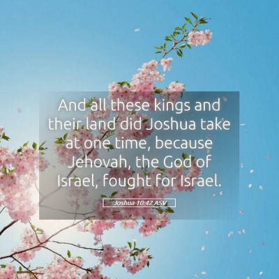 Picture 05 - Joshua 10:42 ASV - And all these kings and their land did Joshua - Bible Verse Picture
