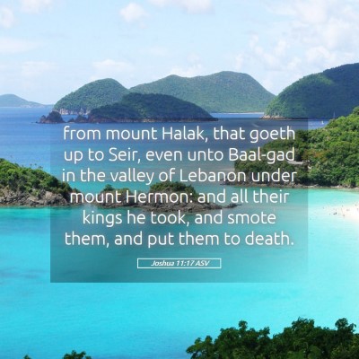 Picture 05 - Joshua 11:17 ASV - from mount Halak, that goeth up to Seir, even - Bible Verse Picture