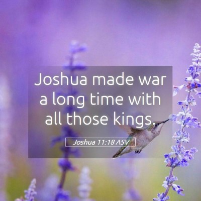 Picture 05 - Joshua 11:18 ASV - Joshua made war a long time with all those - Bible Verse Picture