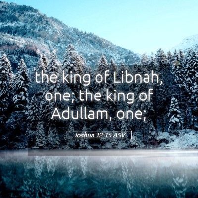 Picture 05 - Joshua 12:15 ASV - the king of Libnah, one; the king of Adullam, - Bible Verse Picture