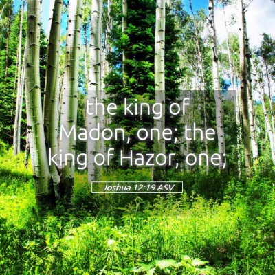 Picture 05 - Joshua 12:19 ASV - the king of Madon, one; the king of Hazor, - Bible Verse Picture
