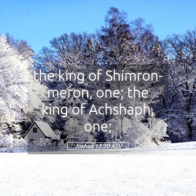 Picture 05 - Joshua 12:20 ASV - the king of Shimron-meron, one; the king of - Bible Verse Picture