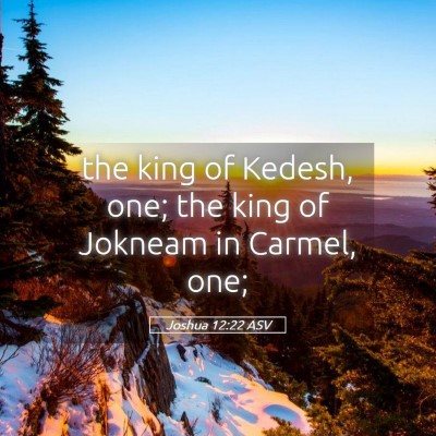 Picture 05 - Joshua 12:22 ASV - the king of Kedesh, one; the king of Jokneam in - Bible Verse Picture
