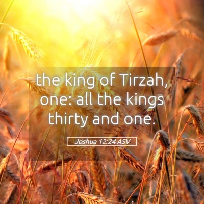 Picture 05 - Joshua 12:24 ASV - the king of Tirzah, one: all the kings thirty and - Bible Verse Picture