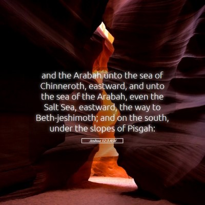 Picture 05 - Joshua 12:3 ASV - and the Arabah unto the sea of Chinneroth, - Bible Verse Picture
