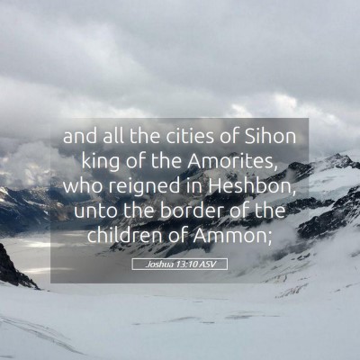 Picture 05 - Joshua 13:10 ASV - and all the cities of Sihon king of the Amorites, - Bible Verse Picture