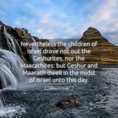 Picture 05 - Joshua 13:13 ASV - Nevertheless the children of Israel drove not out - Bible Verse Picture