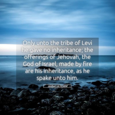 Picture 05 - Joshua 13:14 ASV - Only unto the tribe of Levi he gave no - Bible Verse Picture