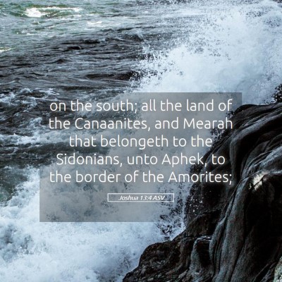 Picture 05 - Joshua 13:4 ASV - on the south; all the land of the Canaanites, and - Bible Verse Picture