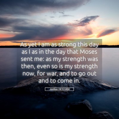 Picture 05 - Joshua 14:11 ASV - As yet I am as strong this day as I as in the day - Bible Verse Picture