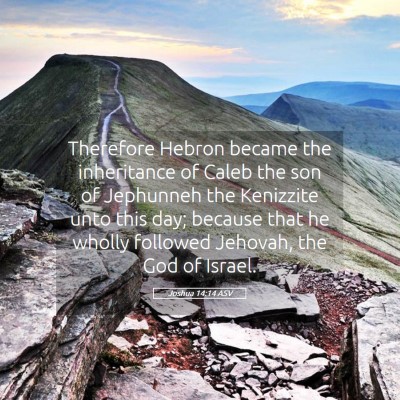 Picture 05 - Joshua 14:14 ASV - Therefore Hebron became the inheritance of Caleb - Bible Verse Picture