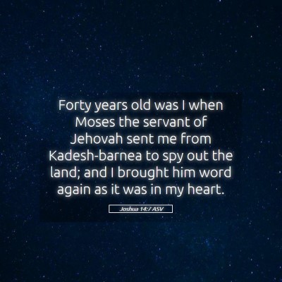 Picture 05 - Joshua 14:7 ASV - Forty years old was I when Moses the servant of - Bible Verse Picture