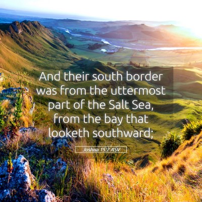 Picture 05 - Joshua 15:2 ASV - And their south border was from the uttermost - Bible Verse Picture