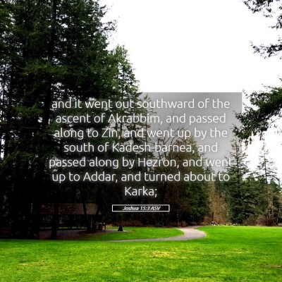 Picture 05 - Joshua 15:3 ASV - and it went out southward of the ascent of - Bible Verse Picture