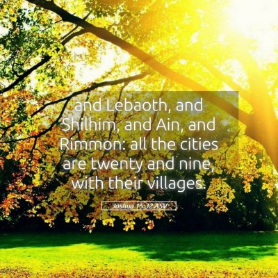 Picture 05 - Joshua 15:32 ASV - and Lebaoth, and Shilhim, and Ain, and Rimmon: - Bible Verse Picture