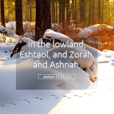 Picture 05 - Joshua 15:33 ASV - In the lowland, Eshtaol, and Zorah, and - Bible Verse Picture