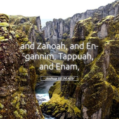 Picture 05 - Joshua 15:34 ASV - and Zanoah, and En-gannim, Tappuah, and - Bible Verse Picture