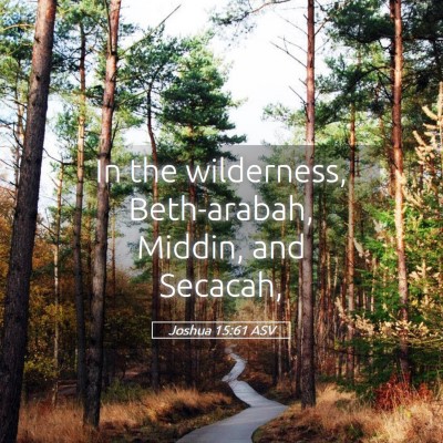 Picture 05 - Joshua 15:61 ASV - In the wilderness, Beth-arabah, Middin, and - Bible Verse Picture