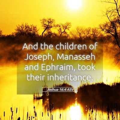 Picture 05 - Joshua 16:4 ASV - And the children of Joseph, Manasseh and Ephraim, - Bible Verse Picture