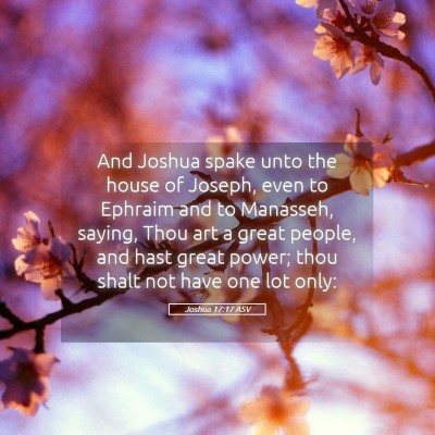 Picture 05 - Joshua 17:17 ASV - And Joshua spake unto the house of Joseph, even - Bible Verse Picture