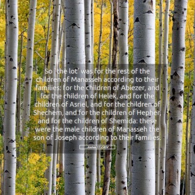 Picture 05 - Joshua 17:2 ASV - So `the lot' was for the rest of the children of - Bible Verse Picture