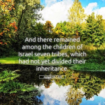 Picture 05 - Joshua 18:2 ASV - And there remained among the children of Israel - Bible Verse Picture