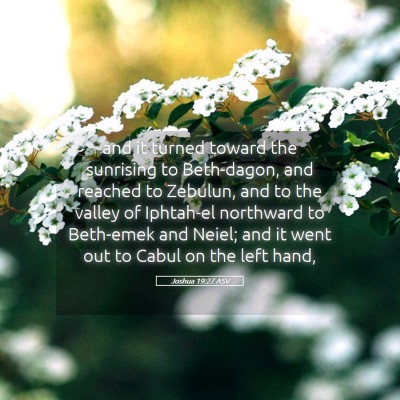 Picture 05 - Joshua 19:27 ASV - and it turned toward the sunrising to Beth-dagon, - Bible Verse Picture