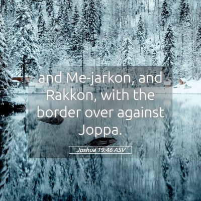Picture 05 - Joshua 19:46 ASV - and Me-jarkon, and Rakkon, with the border over - Bible Verse Picture