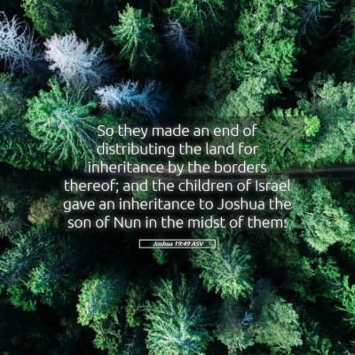 Picture 05 - Joshua 19:49 ASV - So they made an end of distributing the land for - Bible Verse Picture