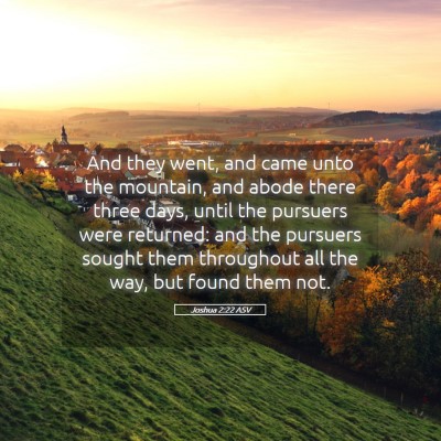 Picture 05 - Joshua 2:22 ASV - And they went, and came unto the mountain, and - Bible Verse Picture