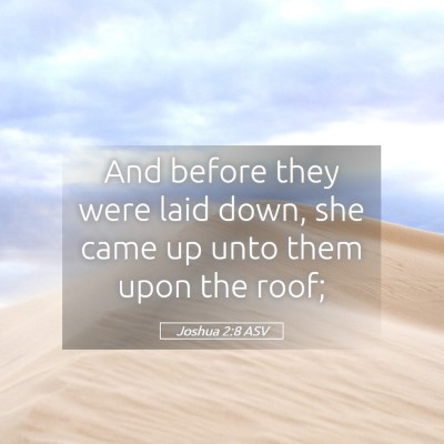 Picture 05 - Joshua 2:8 ASV - And before they were laid down, she came up unto - Bible Verse Picture