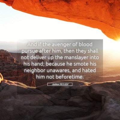 Picture 05 - Joshua 20:5 ASV - And if the avenger of blood pursue after him, - Bible Verse Picture