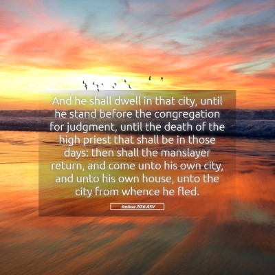 Picture 05 - Joshua 20:6 ASV - And he shall dwell in that city, until he stand - Bible Verse Picture