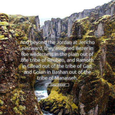 Picture 05 - Joshua 20:8 ASV - And beyond the Jordan at Jericho eastward, they - Bible Verse Picture