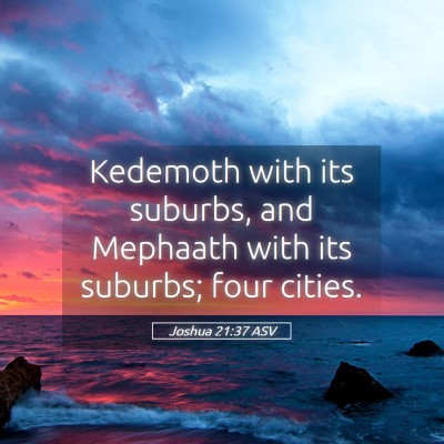 Picture 05 - Joshua 21:37 ASV - Kedemoth with its suburbs, and Mephaath with its - Bible Verse Picture