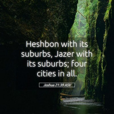 Picture 05 - Joshua 21:39 ASV - Heshbon with its suburbs, Jazer with its suburbs; - Bible Verse Picture