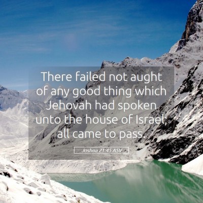 Picture 05 - Joshua 21:45 ASV - There failed not aught of any good thing which - Bible Verse Picture