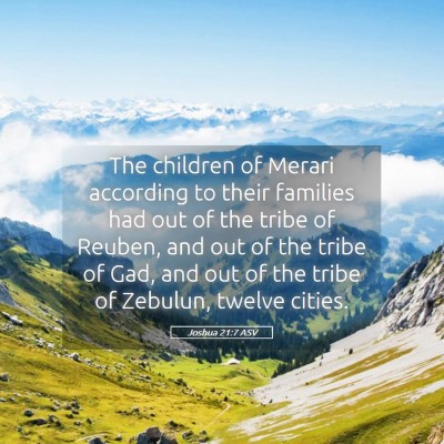 Picture 05 - Joshua 21:7 ASV - The children of Merari according to their - Bible Verse Picture