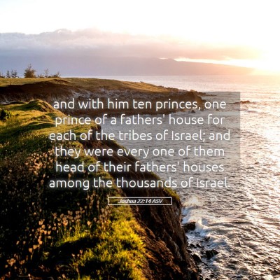 Picture 05 - Joshua 22:14 ASV - and with him ten princes, one prince of a - Bible Verse Picture