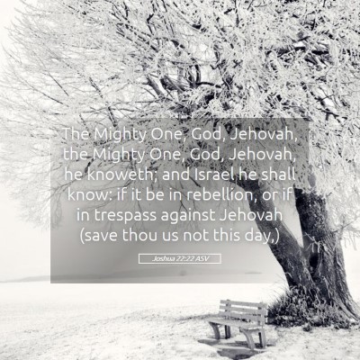 Picture 05 - Joshua 22:22 ASV - The Mighty One, God, Jehovah, the Mighty One, - Bible Verse Picture