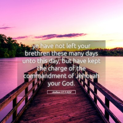 Picture 05 - Joshua 22:3 ASV - ye have not left your brethren these many days - Bible Verse Picture