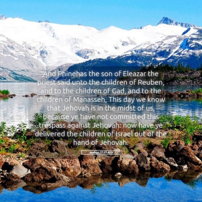 Picture 05 - Joshua 22:31 ASV - And Phinehas the son of Eleazar the priest said - Bible Verse Picture