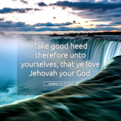 Picture 05 - Joshua 23:11 ASV - Take good heed therefore unto yourselves, that ye - Bible Verse Picture