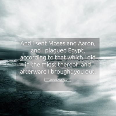 Picture 05 - Joshua 24:5 ASV - And I sent Moses and Aaron, and I plagued Egypt, - Bible Verse Picture