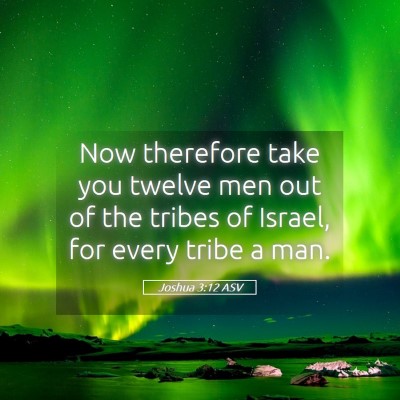 Picture 05 - Joshua 3:12 ASV - Now therefore take you twelve men out of the - Bible Verse Picture