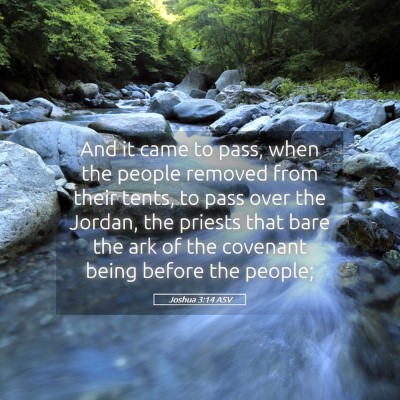 Picture 05 - Joshua 3:14 ASV - And it came to pass, when the people removed from - Bible Verse Picture