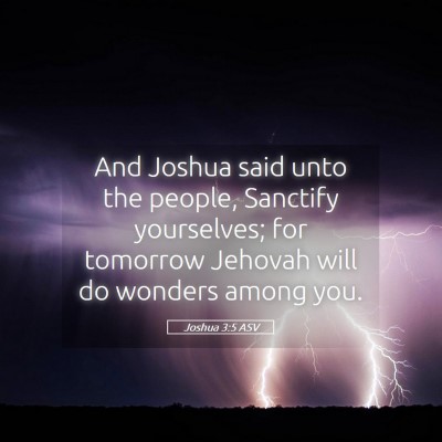 Picture 05 - Joshua 3:5 ASV - And Joshua said unto the people, Sanctify - Bible Verse Picture
